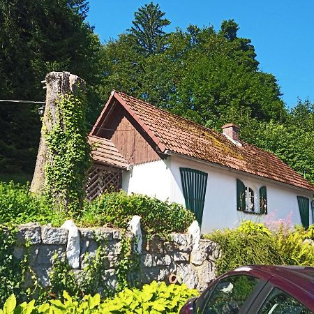 Domek Sosnowka Zewnętrze zdjęcie